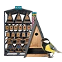 Bûten